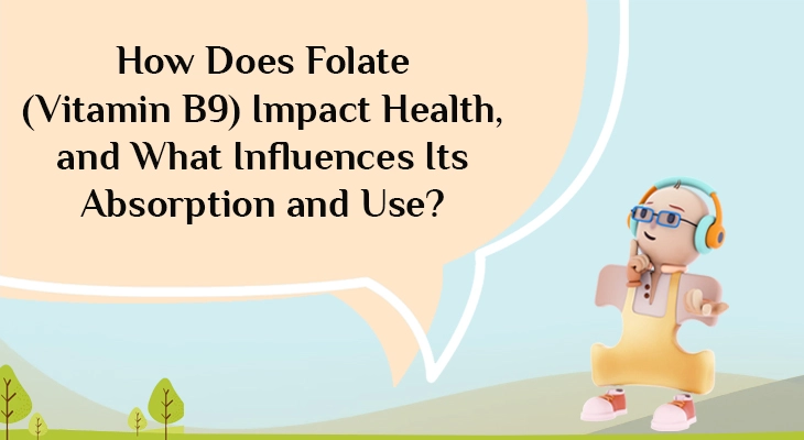 Image illustrating Folate (Vitamin B9) as a Critical Nutrient for Humans