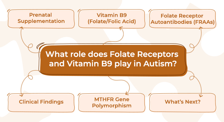 What role does Folate Receptors and Vitamin B9 play in Autism?