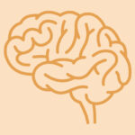 cerebral folate deficiency syndrome