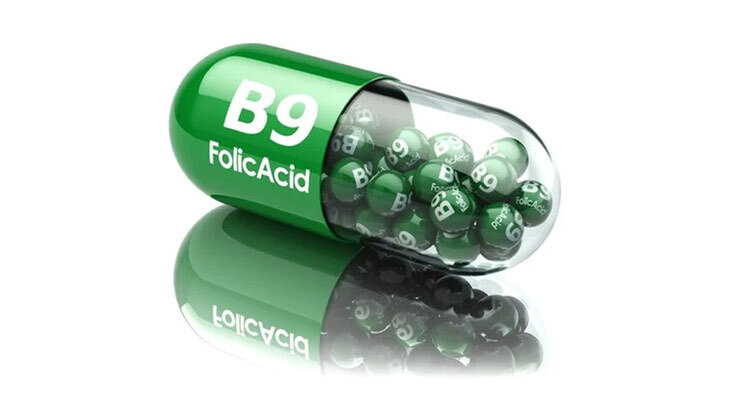 importance of vitamin b9 folate for better brain development in fetuses