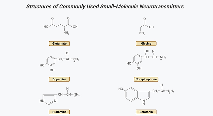 structures of commonly used small molecule neurotransmitters
