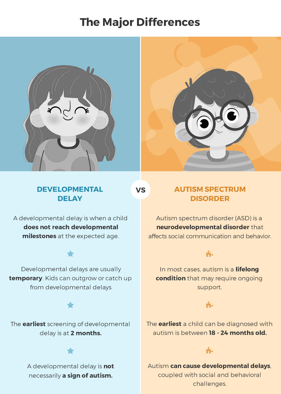 Infographic representing the key differences in signs & symptoms of developmental delay vs autism spectrum disorder (ASD)