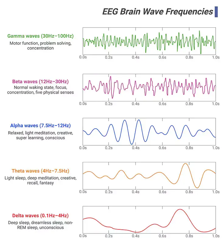 EEG Brain Wave Frequencies