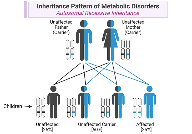 Image illustrating the inheritance pattern of metabolic disorders, specifically Autosomal Recessive Inheritance.