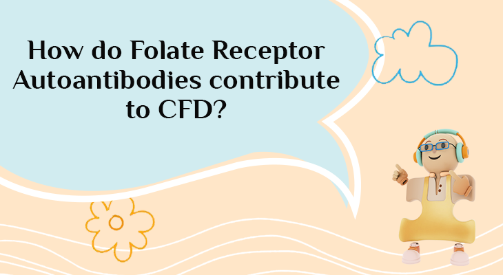 How do Folate Receptor Autoantibodies contribute to CFD?