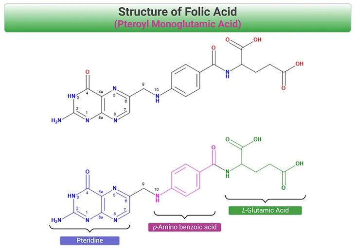 Structure of Folic Acid - Pteroyl Monoglutamic Acid