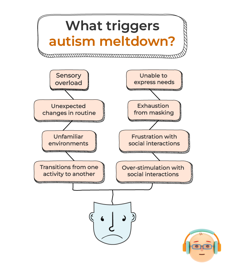 Triggers of Autism Meltdowns