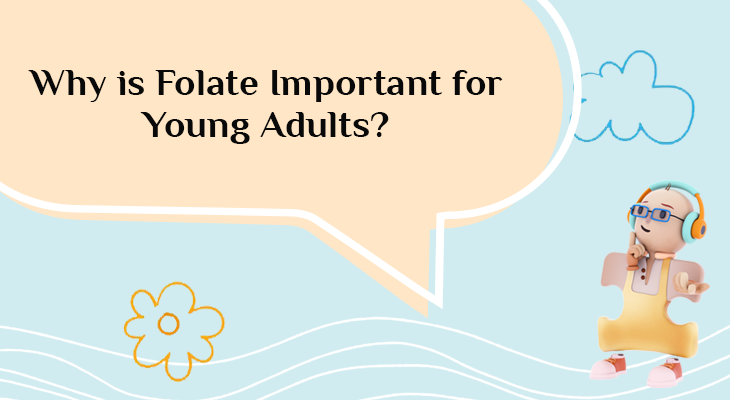 Why is Folate Important for Young Adults?