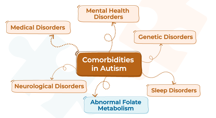 Exploring Common Comorbidities in Autism