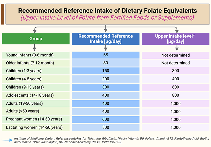Recommended Reference Intake of Dietary Folate Equivalents Upper Intake Level of Folate from Fortified Foods or Supplements