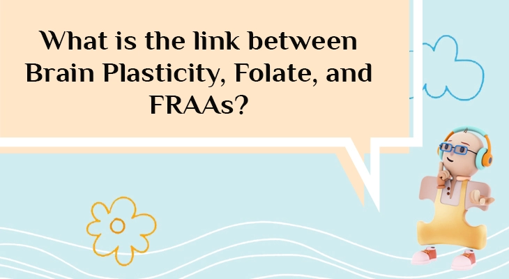 What is the link between Brain Plasticity, Folate, and FRAAs?