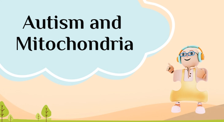 Autism and Mitochondria