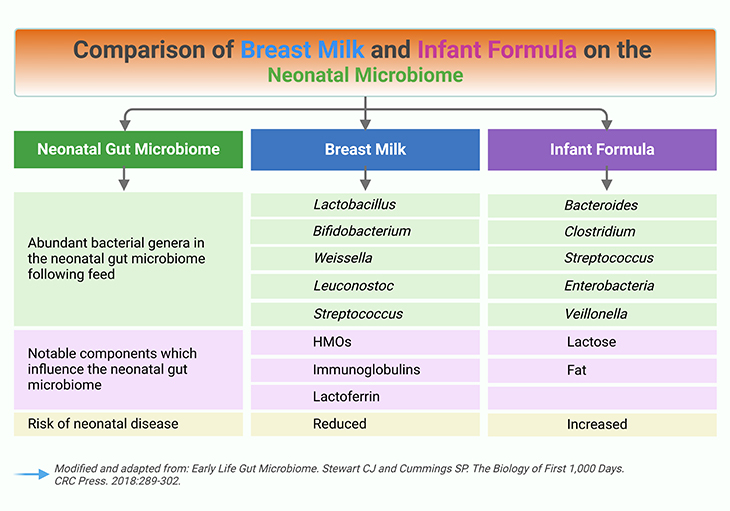 Comparison of Breast Milk and Infant Formula on the Neonatal Microbiome