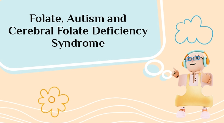 Folate, Autism and Cerebral Folate Deficiency Syndrome