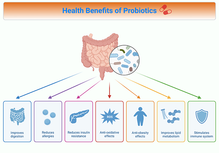 Health Benefits of Probiotics