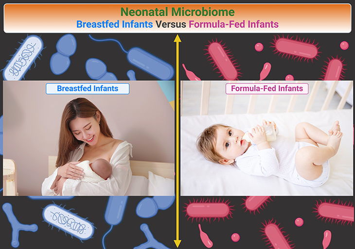 Neonatal Microbiome Breastfed Infants Versus Formula Fed Infants