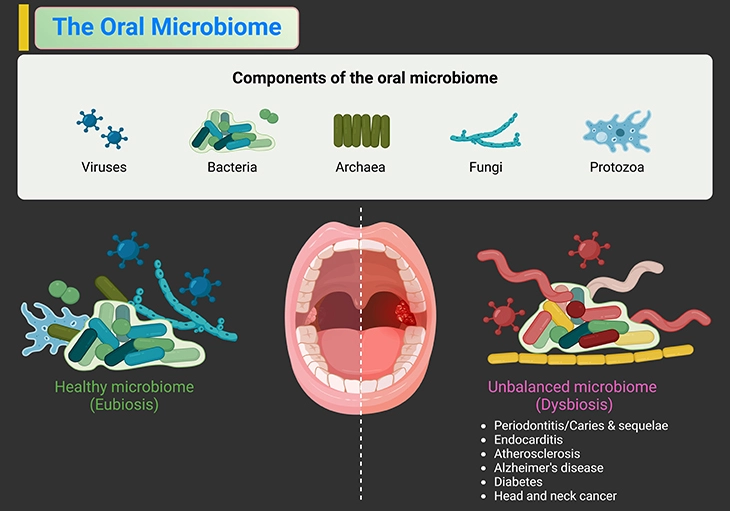 The Oral Microbiome