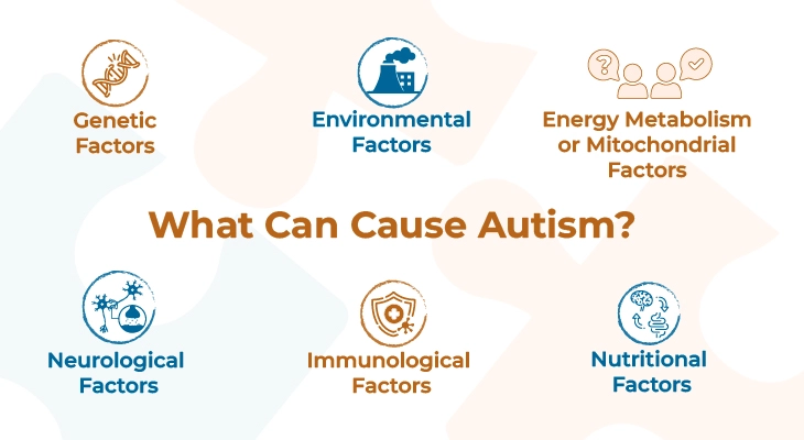 What Can Cause Autism?