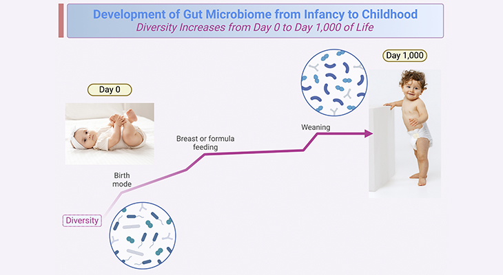 Development of Gut Microbiome from Infancy to Childhood Diversity Increases from Day 0 to Day 1,000 of Life