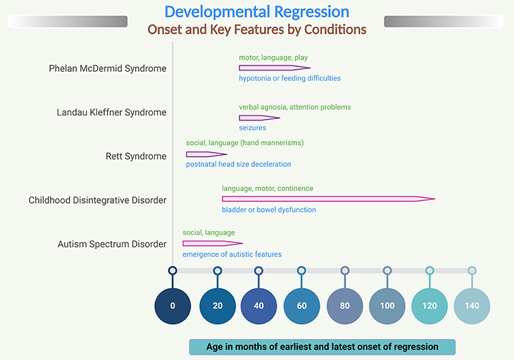 Developmental Regression - Onset and Key Features by Conditions