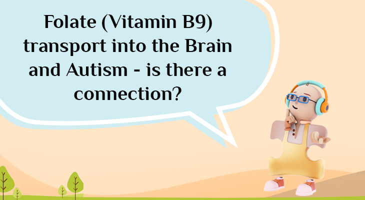 Folate (Vitamin B9) transport into the Brain and Autism - is there a connection?