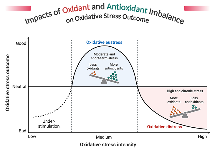 Impacts of Oxidant and Antioxidant Imbalance on Oxidative Stress Outcome