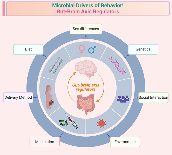 Microbial Drivers of Behavior! - Gut-Brain Axis Regulators