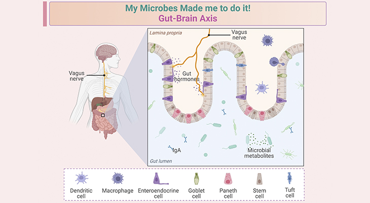 My Microbes Made me to do it! - Gut-Brain Axis