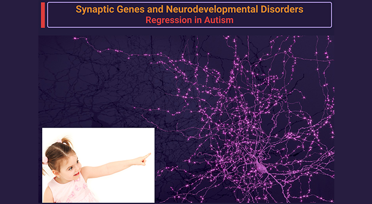 Defining Autism Spectrum Disorders: Mechanisms of Developmental Regression in Autism – II