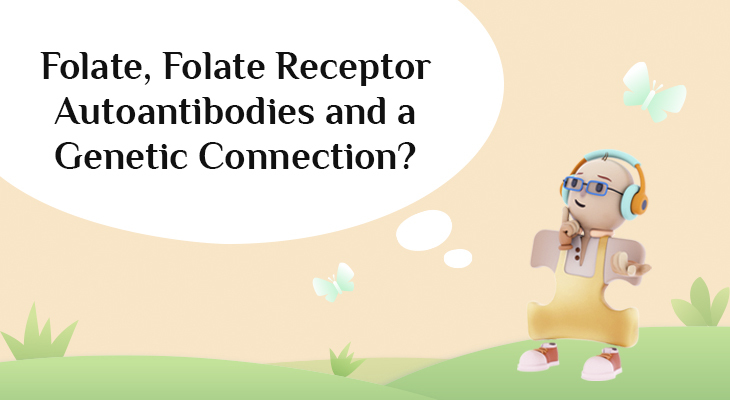 Folate, Folate Receptor Autoantibodies and a Genetic Connection