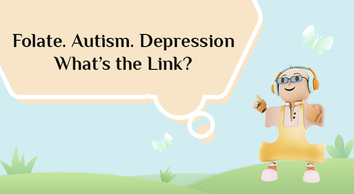 Folate. Autism. Depression What’s the Link?