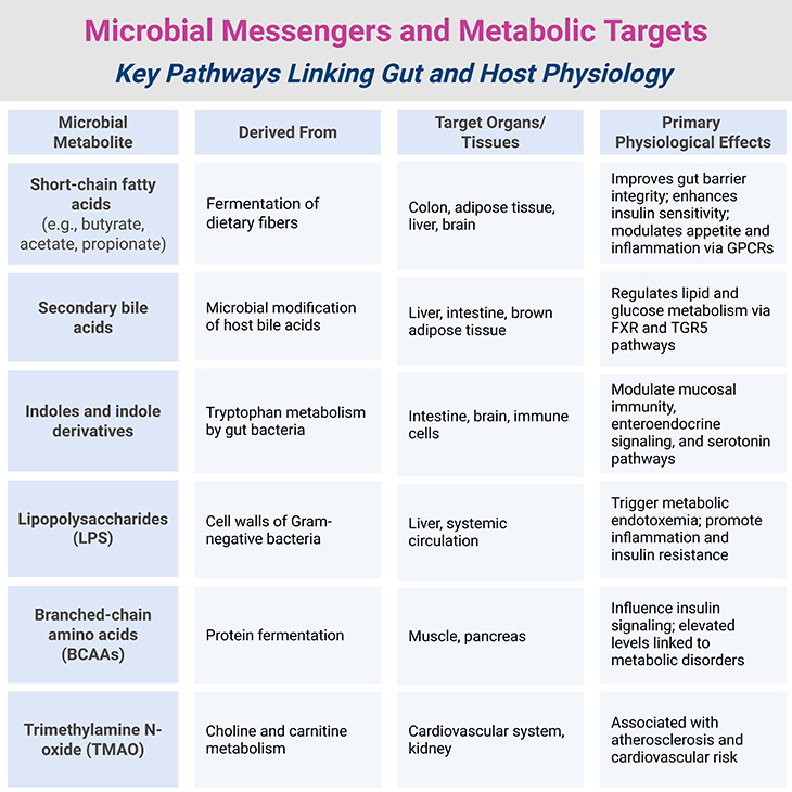 Microbial Messengers and Metabolic Targets