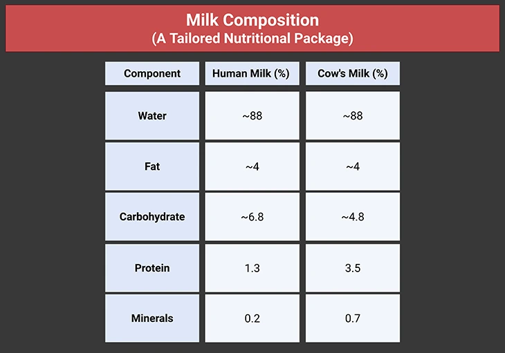 Milk Composition - A Tailored Nutritional Package