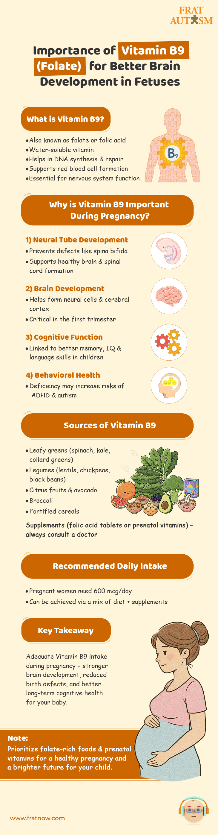 Importance of Vitamin B9 (Folate) for Better Brain Development in Fetuses - Autism Infographics