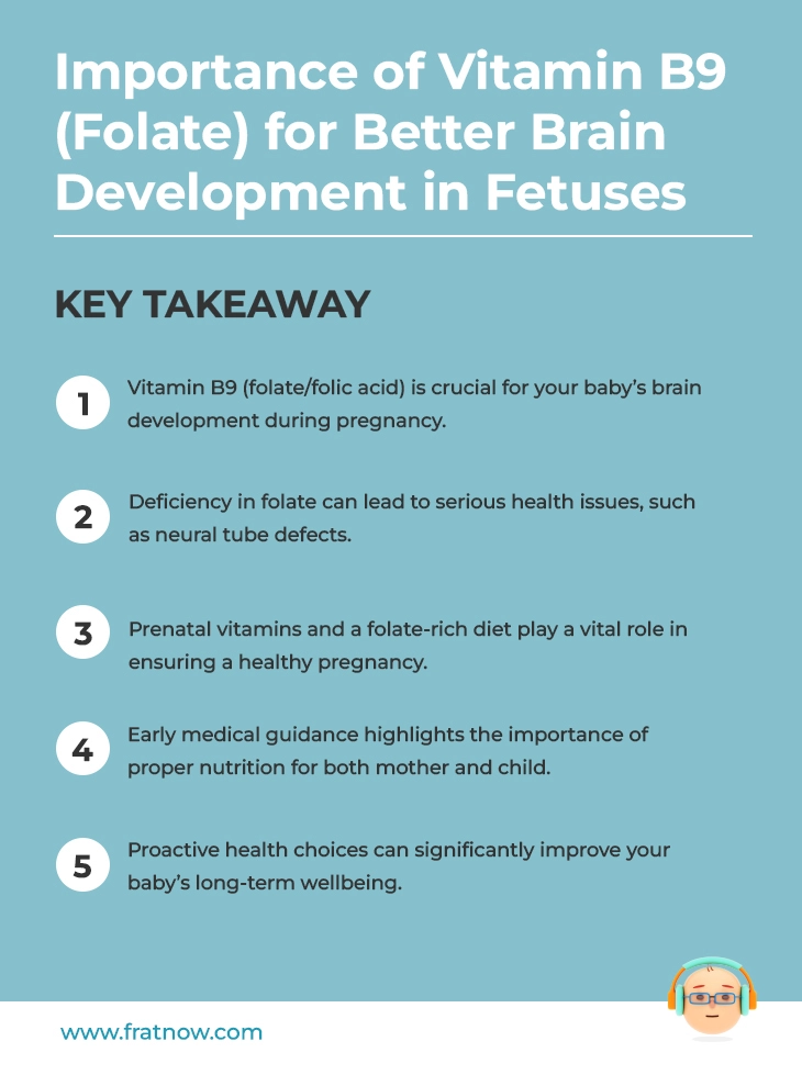 Key Takeaways of the Importance of Vitamin B9 (Folate) for Better Brain Development in Fetuses - Autism Infographics
