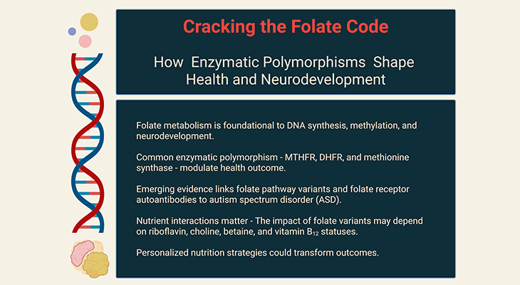 Cracking the Folate Code - How Enzymatic Polymorphisms Shape Health and Neurodevelopment