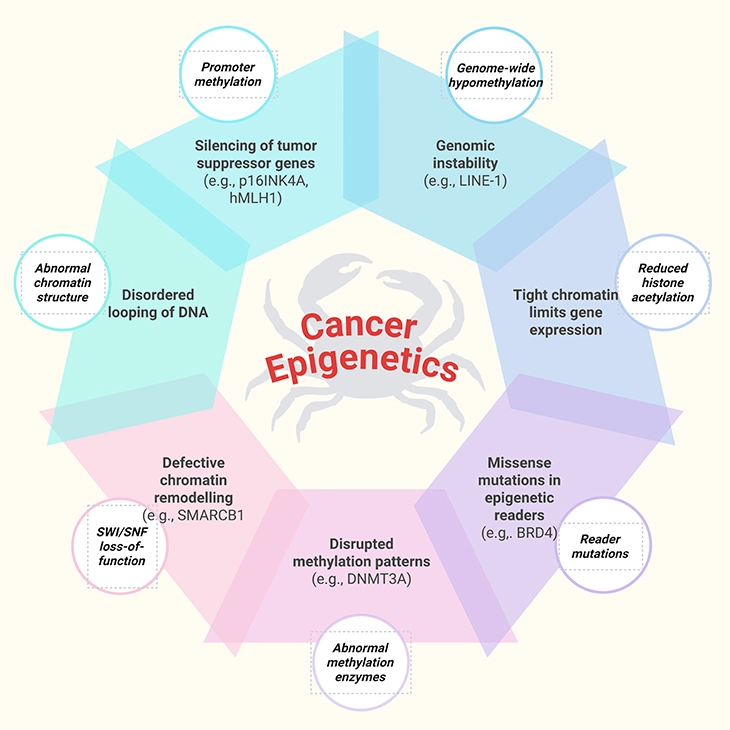 Cancer Epigenetics