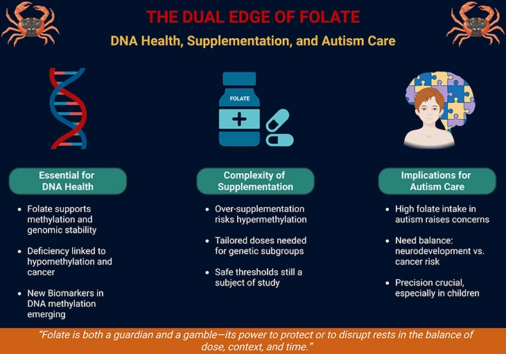 The Dual Edge of Folate - DNA Health, Supplementation, and Autism Care