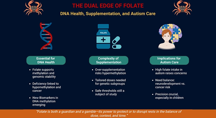 The Dual Edge of Folate - DNA Health, Supplementation, and Autism Care