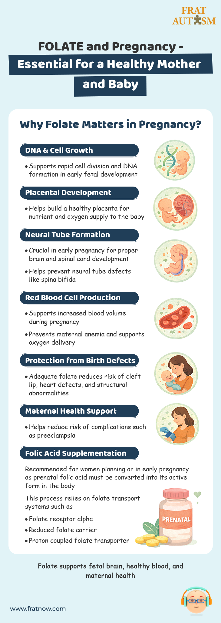 FOLATE and Pregnancy - Essential for a Healthy Mother and Baby - Autism Infographics