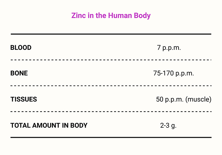 Zinc in the Human Body