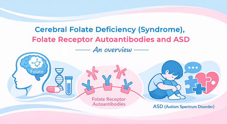 Cerebral Folate Deficiency (Syndrome), Folate Receptor Autoantibodies and ASD: An Overview Cerebral Folate Deficiency (Syndrome), Folate Receptor Autoantibodies and ASD: An Overview