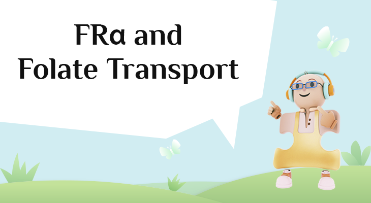 Folate Receptor Autoantibodies: Analysis of Impaired Folate Transport into the Central Nervous System