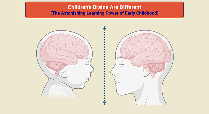 Before the Pathway Sets: How Early Experience Shapes the Developing Autistic Brain
