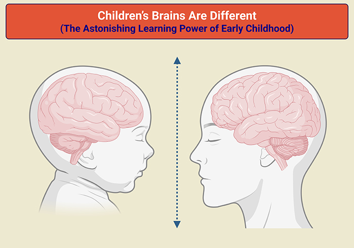 Children’s brains are different: the astonishing learning power of early childhood.