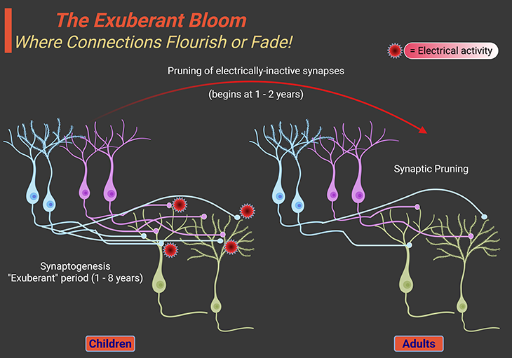 Exuberant bloom: where connections flourish or fade.