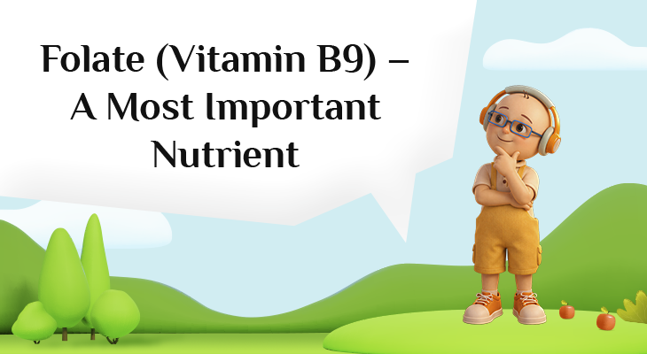 Folate (Vitamin B9) illustration showing its role in DNA synthesis, pregnancy health, brain function, red blood cell production, and cardiovascular wellness
