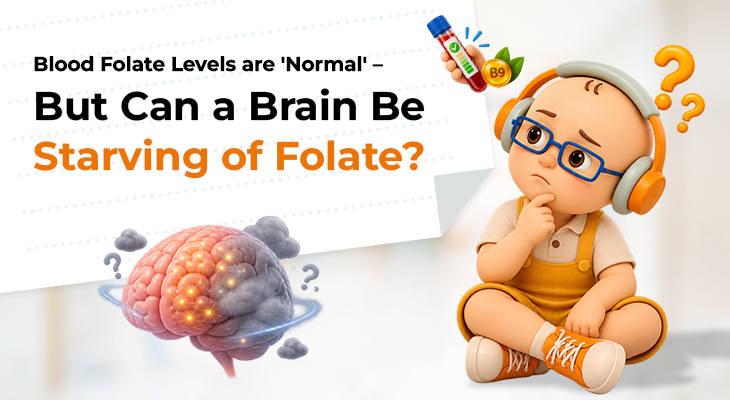 Blood folate levels may be normal while folate transport to the brain is impaired, illustrating cerebral folate deficiency and folate receptor autoantibodies.